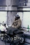 Ernesto (Roberto Domeneghetti)